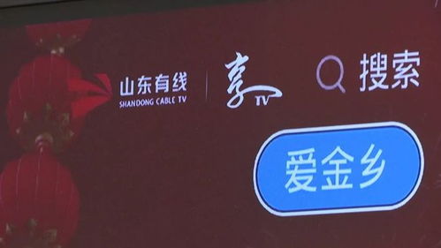 享tv爱金乡平台上线 全新互联网电视产品 让你更多角度看家乡
