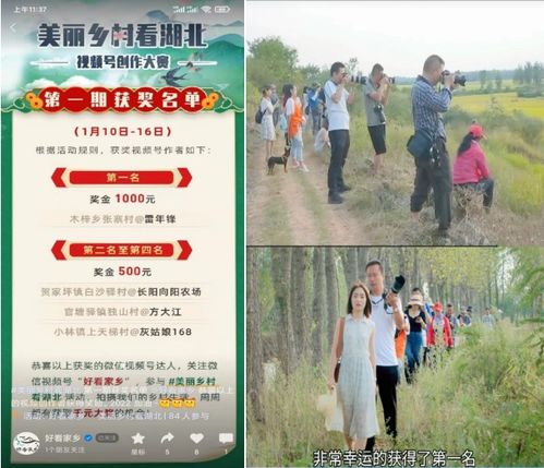 安陆 新农人 直播带货 助力家乡农产品销售