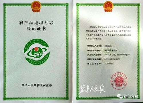 射阳大米 成为 地理标志 产品 家乡好味道价值185个亿