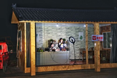 年销售额5000万 他本想返乡照顾父母,却意外发现生财之道
