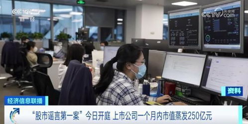 一个月内市值蒸发250亿元 股市谣言第一案 开庭