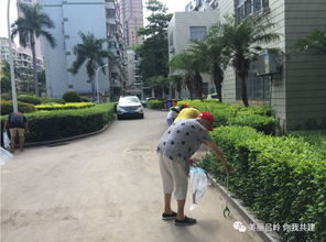 志愿服务,我们义不容辞 新时代党员志愿服务文明之花在吕岭社区悄然绽放