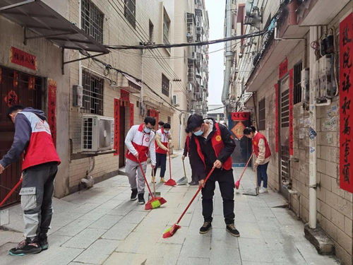 青春行动，温暖家乡——龙圩区返乡大学生志愿服务火热进行中